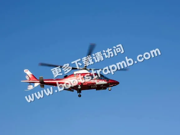 CA412 Photo Gallery - 斗球